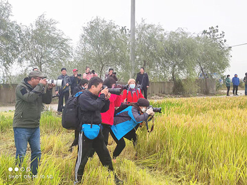 /gb2312/qishiyegonghui/11126.html